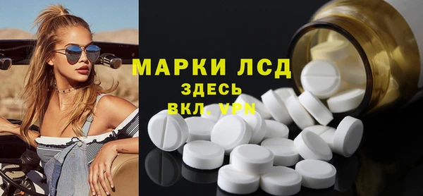 индика Приозерск