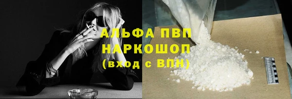 индика Приозерск