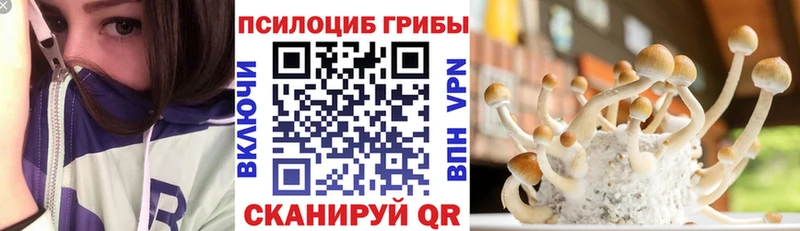 OMG вход закладка Яровое Галлюциногенные грибы Magic Shrooms